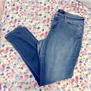 Torrid Jeans